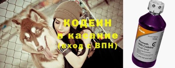 индика Анива