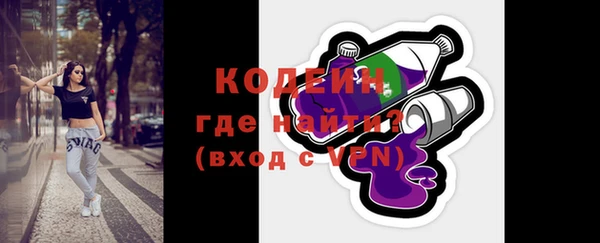 индика Анива
