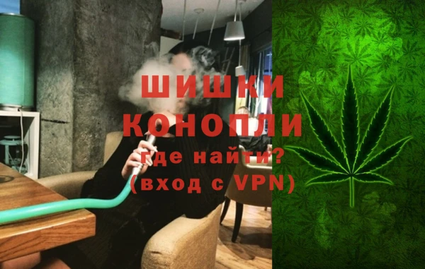 шишки Михайлов