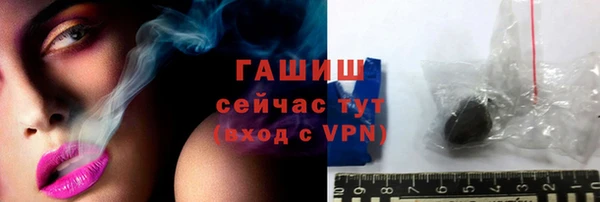 индика Анива