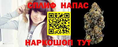 бошки Гатчина