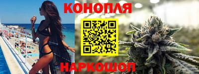 бошки Гатчина