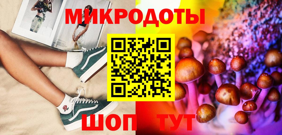 Галлюциногенные грибы Cubensis Ефремов