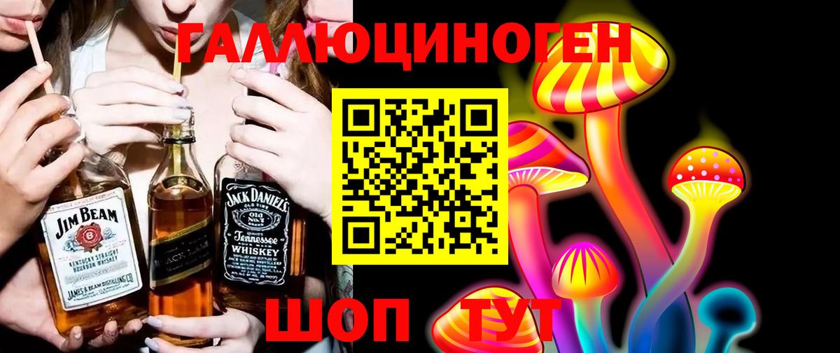 Псилоцибиновые грибы Cubensis  Вход с VPN  Ефремов 