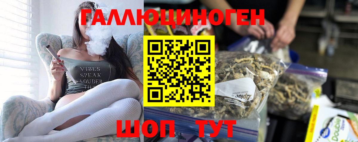Псилоцибиновые грибы прущие грибы Ефремов