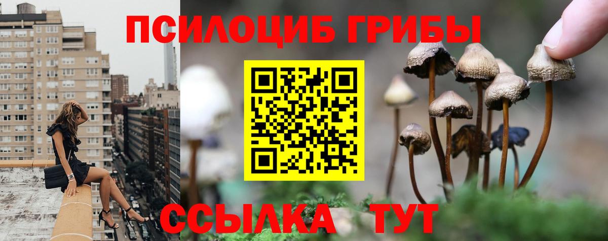 ГАШИШ Ефремов