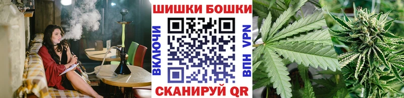Бошки Шишки семена Ефремов