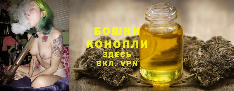 KRAKEN вход  как найти закладки  Ефремов  Канабис White Widow 